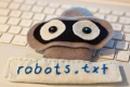 robots.txt文件的作用及写法（史上最详细版本）