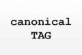 使用canonical标签解决网址规范化问题
