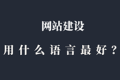 网站一般用什么语言开发？