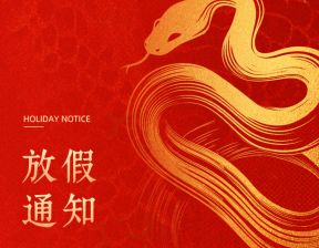 百恒网络2025年春节放假通知